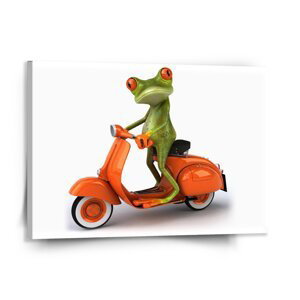 Obraz Žába na motorce - 150x110 cm