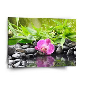 Obraz Růžová orchidej - 150x110 cm