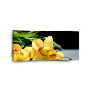Obraz Žluté orchideje - 110x50 cm