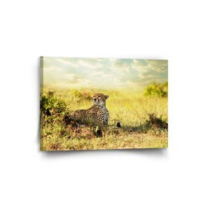 Obraz Gepard - 90x60 cm