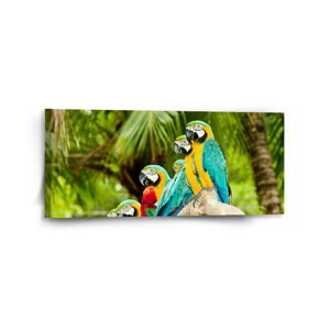 Obraz Papoušci na větvi - 110x50 cm