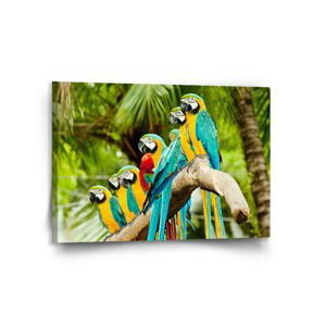 Obraz Papoušci na větvi - 120x80 cm