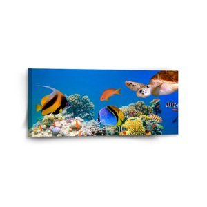 Obraz Korálový útes - 110x50 cm