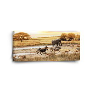 Obraz Safari - 110x50 cm