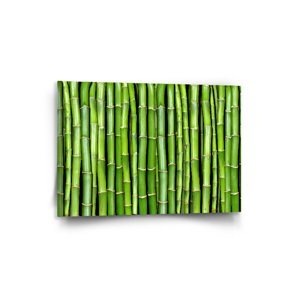 Obraz Bambus - 90x60 cm