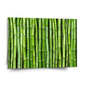 Obraz Bambus - 150x110 cm