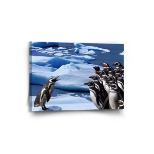 Obraz Tučňáci - 90x60 cm