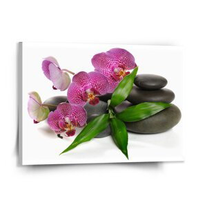 Obraz Orchideje a kameny - 150x110 cm