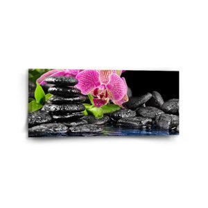 Obraz Orchidej na kamenech - 110x50 cm
