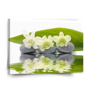 Obraz Bílá orchidej - 150x110 cm