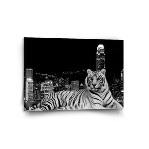 Obraz Městský tygr - 120x80 cm