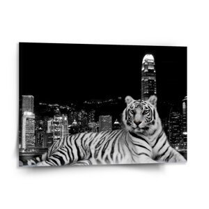 Obraz Městský tygr - 150x110 cm