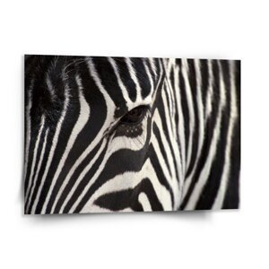 Obraz Detail zebra - 150x110 cm