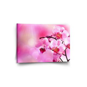 Obraz Květy orchideje - 90x60 cm