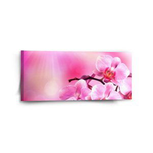 Obraz Květy orchideje - 110x50 cm