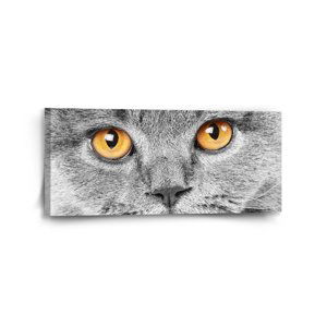 Obraz Kočičí pohled - 110x50 cm