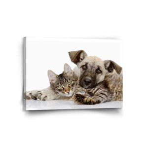 Obraz Kočička a štěňátko - 120x80 cm