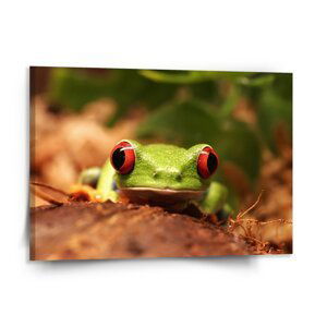 Obraz Zelená žába - 150x110 cm