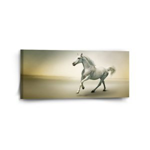 Obraz Bílý kůň 2 - 110x50 cm