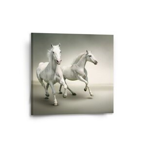 Obraz Dva bílí koně - 50x50 cm