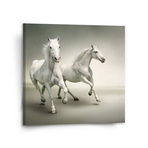 Obraz Dva bílí koně - 110x110 cm