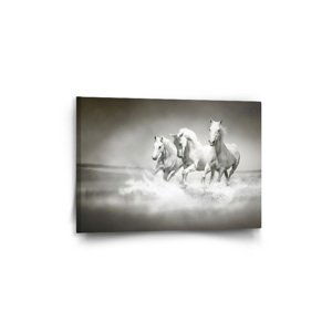 Obraz Bílí koně - 60x40 cm