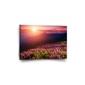 Obraz Rozkvetlá příroda - 60x40 cm