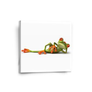 Obraz Ležící žába - 50x50 cm