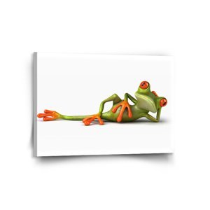 Obraz Ležící žába - 120x80 cm