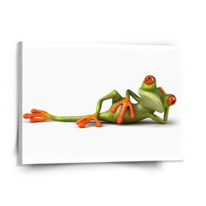 Obraz Ležící žába - 150x110 cm