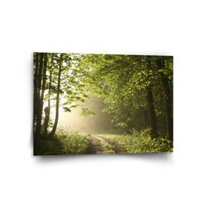 Obraz Lesní cesta - 120x80 cm