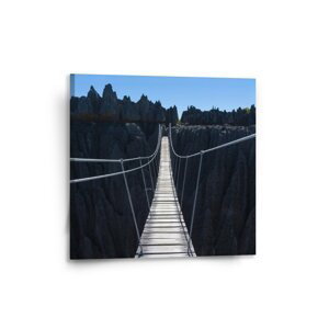 Obraz Visutý most - 50x50 cm