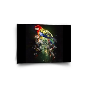 Obraz Barevný papoušek - 90x60 cm