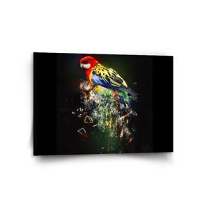 Obraz Barevný papoušek - 120x80 cm