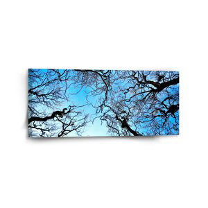 Obraz Holé větve - 110x50 cm