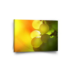Obraz Hroznové víno - 90x60 cm