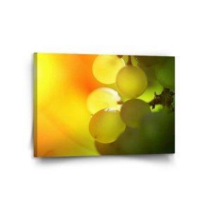 Obraz Hroznové víno - 120x80 cm