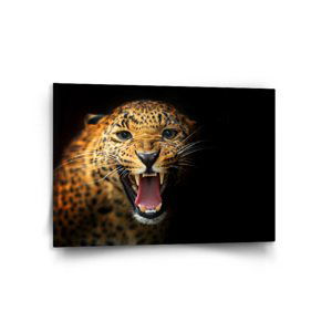 Obraz Gepard 2 - 120x80 cm