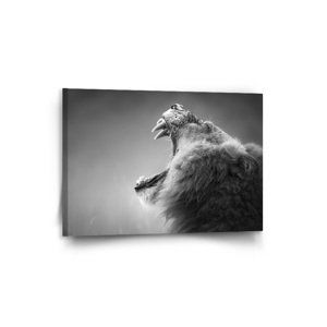 Obraz Řvoucí lev - 90x60 cm