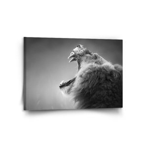 Obraz Řvoucí lev - 120x80 cm