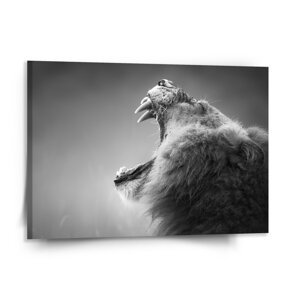 Obraz Řvoucí lev - 150x110 cm