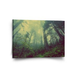 Obraz Temný les - 120x80 cm