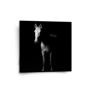 Obraz Kůň ve stínu - 50x50 cm
