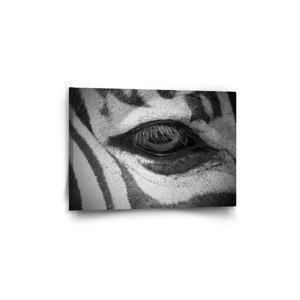 Obraz Oko zebry - 60x40 cm