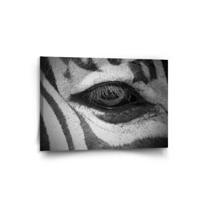 Obraz Oko zebry - 90x60 cm