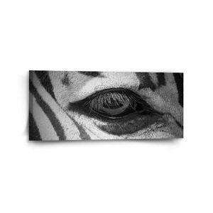 Obraz Oko zebry - 110x50 cm