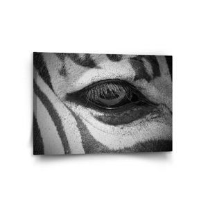 Obraz Oko zebry - 120x80 cm