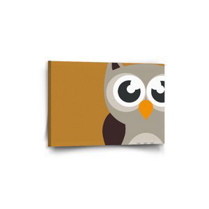 Obraz Kreslená sova - 60x40 cm