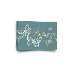 Obraz Motýli - 60x40 cm