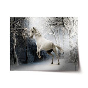 Plakát Bílý kůň - 60x40 cm